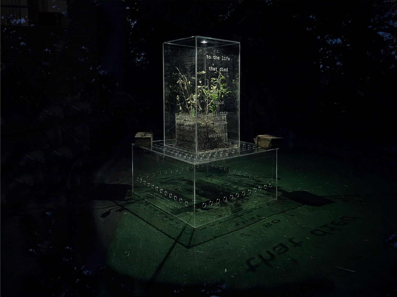 an acrylic sculpture sits on a green surface on a black, shadowy background. There are words inscribed on the face of the sculpture that say 'to the life that died so that I could call this into existence'