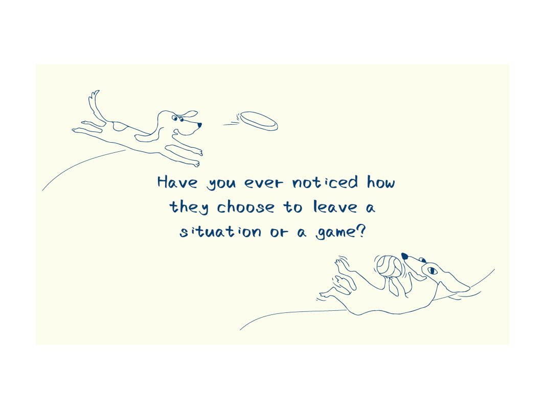 Everyday Dog Conversation
