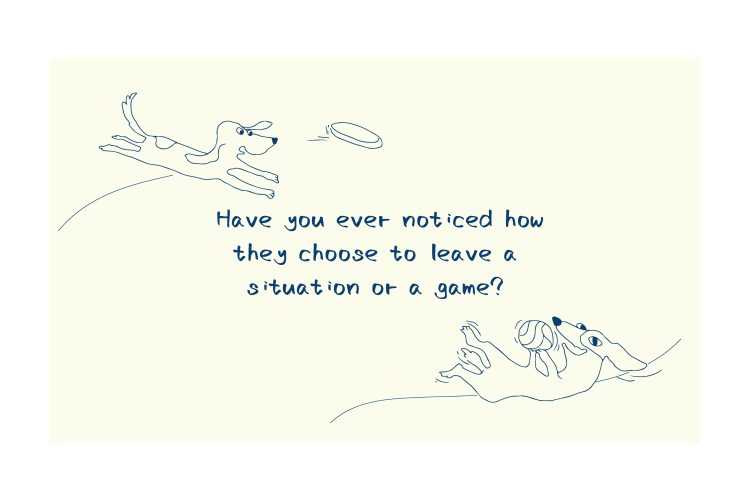 Everyday Dog Conversation
