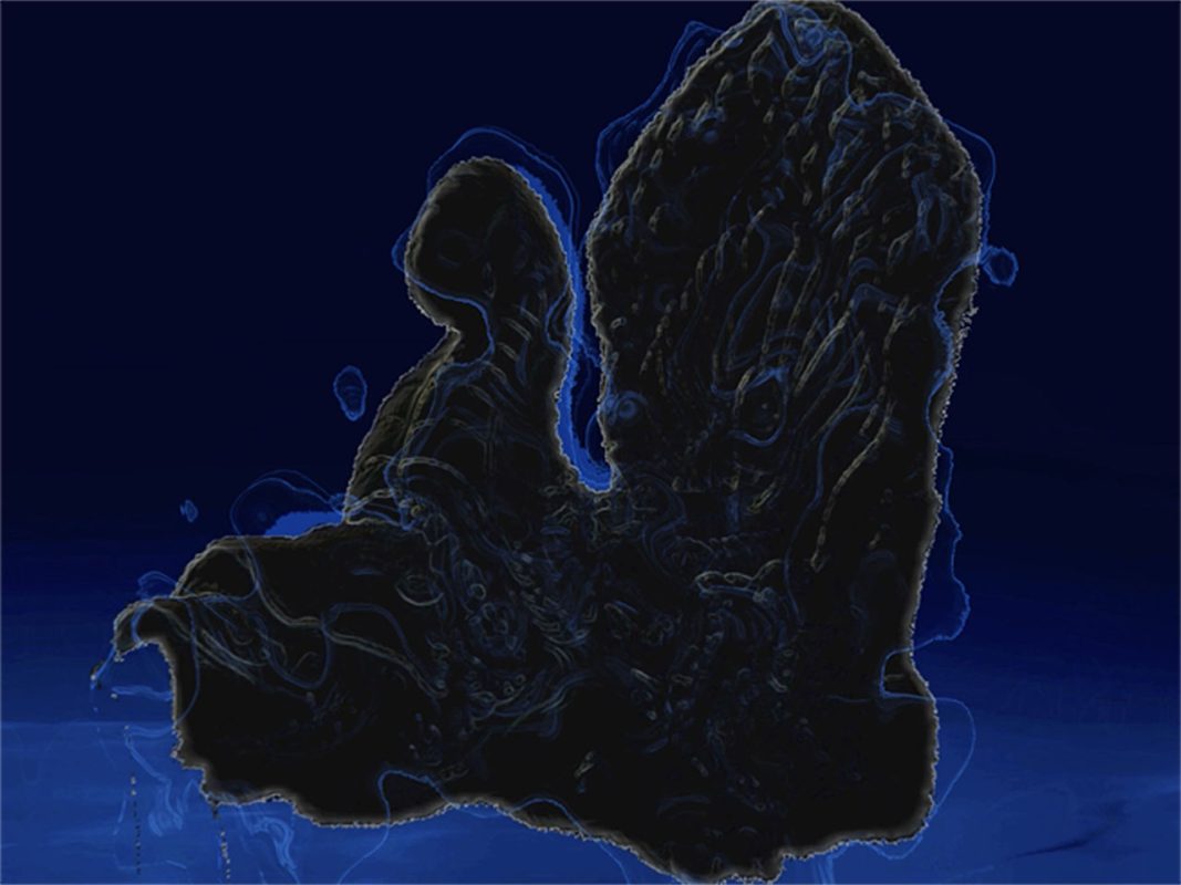 Makara