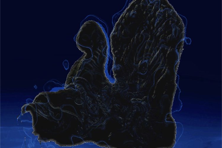 Makara